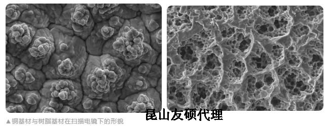 丰台蔡司丰台扫描电镜